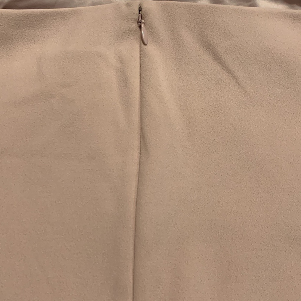 Express Blush Pink Jumpsuit with Tailored Silhouette and Wide-Leg Design - Picture 7 of 7